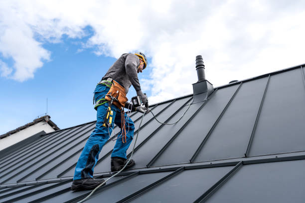 Best Asphalt Shingles Roofing  in St Johns, AZ